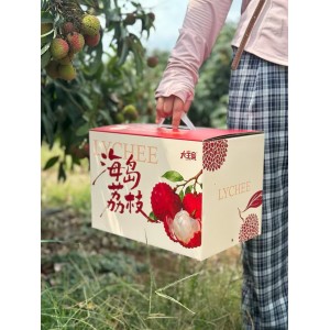 海南果园现摘空运冷链直发荔枝妃子笑荔枝
