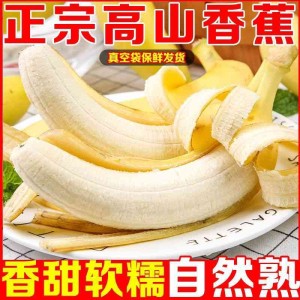大量批发海南香蕉高山香蕉巴西香蕉 大量批发海南香蕉高山香蕉巴西香蕉