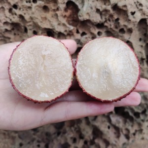 无核荔枝甜 当季新鲜孕妇水果无籽糯米桂糍王味5