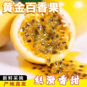 源头产地黄金百香果批发 源头产地黄金百香果批发