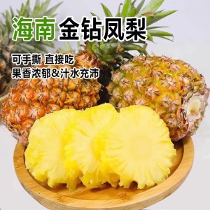 海南金钻凤梨10斤新鲜水果当季芒果凤梨手撕香水菠萝特产无眼包邮 海南金钻凤梨10斤新鲜水果当季芒果凤梨手撕香水菠萝特产无眼包邮