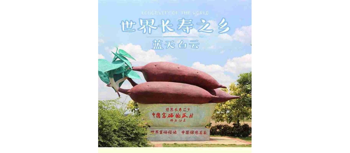 桥头富硒地瓜精品地瓜板栗红薯