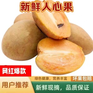 海南人心果 海南人心果