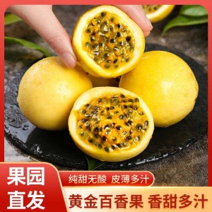 海南精品黄金百香果钦蜜9号新鲜采摘 海南精品黄金百香果钦蜜9号新鲜采摘
