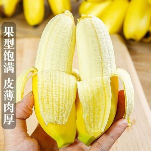 海南热带水果皇帝蕉 海南热带水果皇帝蕉